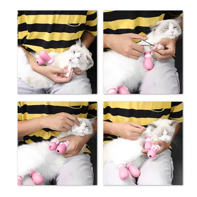 Couvre-pattes et protège-griffes