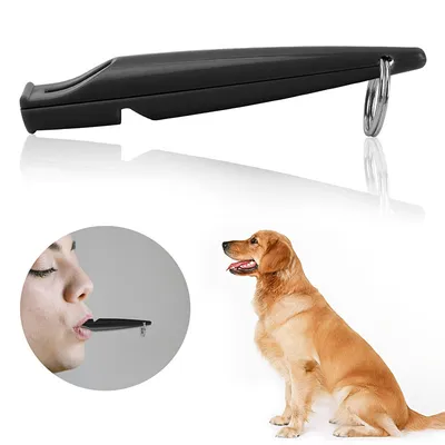 Sifflet de dressage pour chien