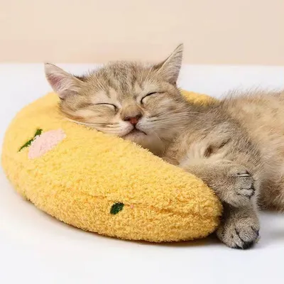 Coussins en forme de U pour chat