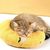 Coussins en forme de U pour chat