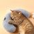 Coussins en forme de U pour chat
