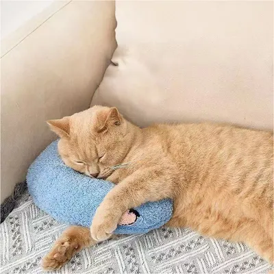 Coussins en forme de U pour chat