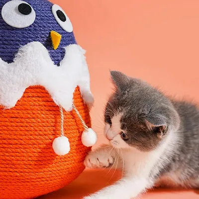 UAMLY Pelota rascadora para gatos