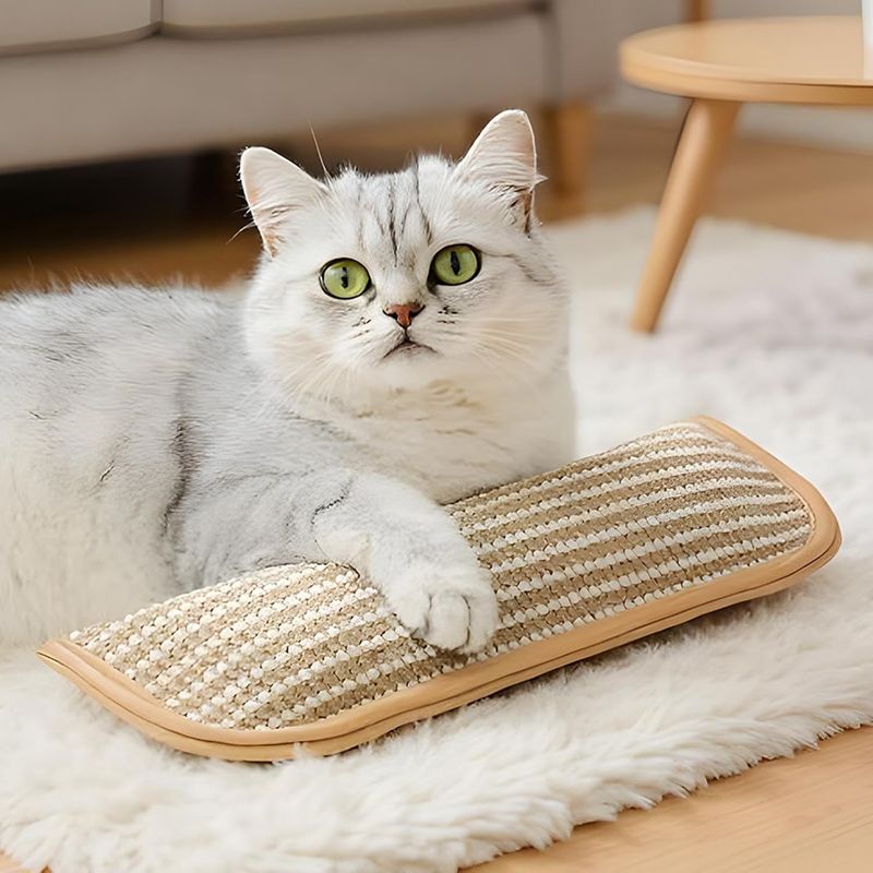 UAMLY Jouet en forme de sac d'herbe à chat