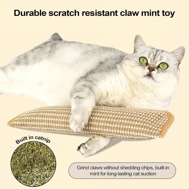 UAMLY Jouet en forme de sac d'herbe à chat