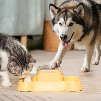 UAMLY Jouet distributeur de friandises pour chien