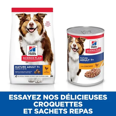 HILL'S -  CHIEN SCIENCE PLAN ADULTE MATURE 7+ POULET (boite)