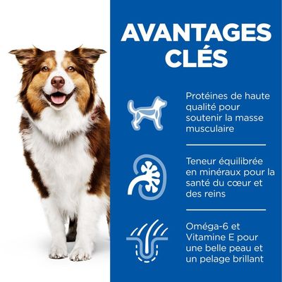 HILL'S -  CHIEN SCIENCE PLAN ADULTE MATURE 7+ POULET (boite)