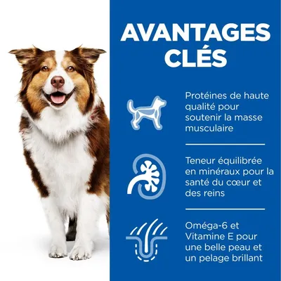HILL'S -  CHIEN SCIENCE PLAN ADULTE MATURE 7+ POULET (boite)