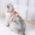 Ensemble harnais et laisse pour chat (carotte)