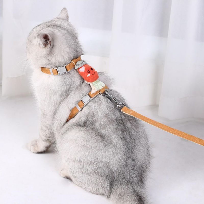 Ensemble harnais et laisse pour chat (carotte)