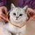 Ensemble harnais et laisse pour chat (carotte)