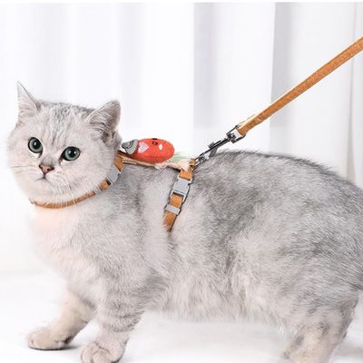 Ensemble harnais et laisse pour chat (carotte)