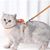 Ensemble harnais et laisse pour chat (carotte)