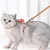 Ensemble harnais et laisse pour chat (carotte)