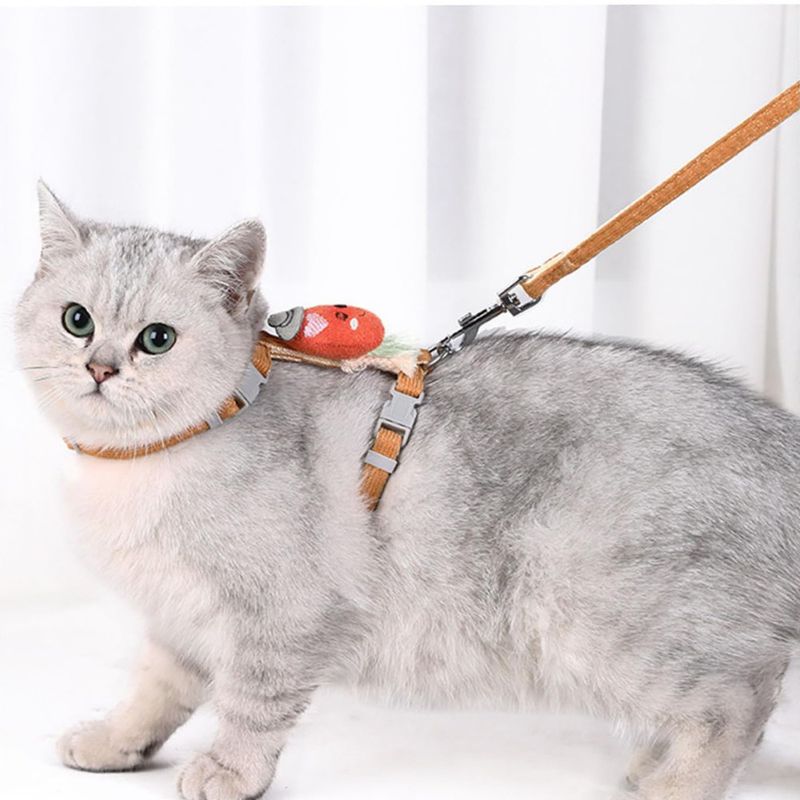 Ensemble harnais et laisse pour chat (carotte)