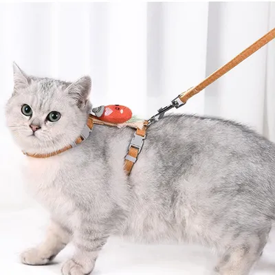 Ensemble harnais et laisse pour chat (carotte)