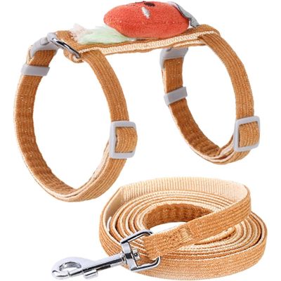 Ensemble harnais et laisse pour chat (carotte)