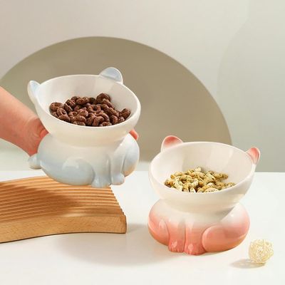 Gamelle Chat Bol en Céramique pour Chat
