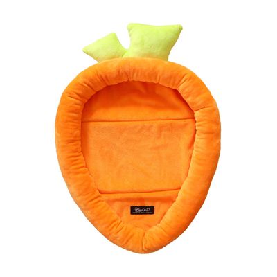 Lits pour lapins en forme de carotte
