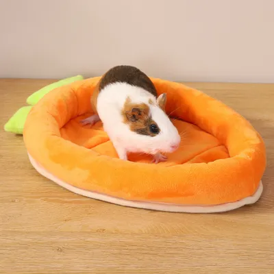 Lits pour lapins en forme de carotte