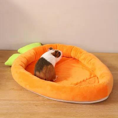 Lits pour lapins en forme de carotte