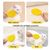 Brosse pour chat, peigne de nettoyage des poils