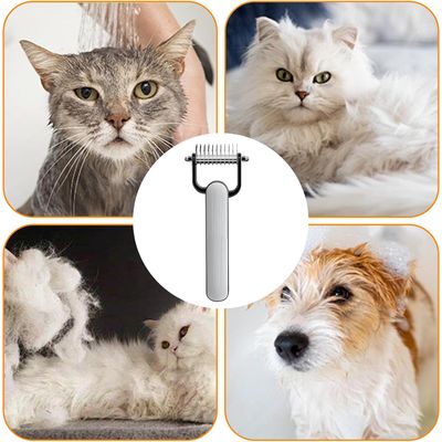 Brosse anti-perte de poils pour chat