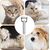Brosse anti-perte de poils pour chat