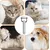Brosse anti-perte de poils pour chat