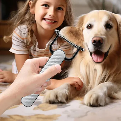 Brosse anti-perte de poils pour chat