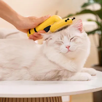 Brosse autonettoyante pour chat