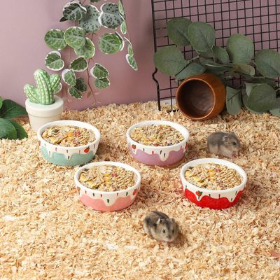 Gamelle pour hamster