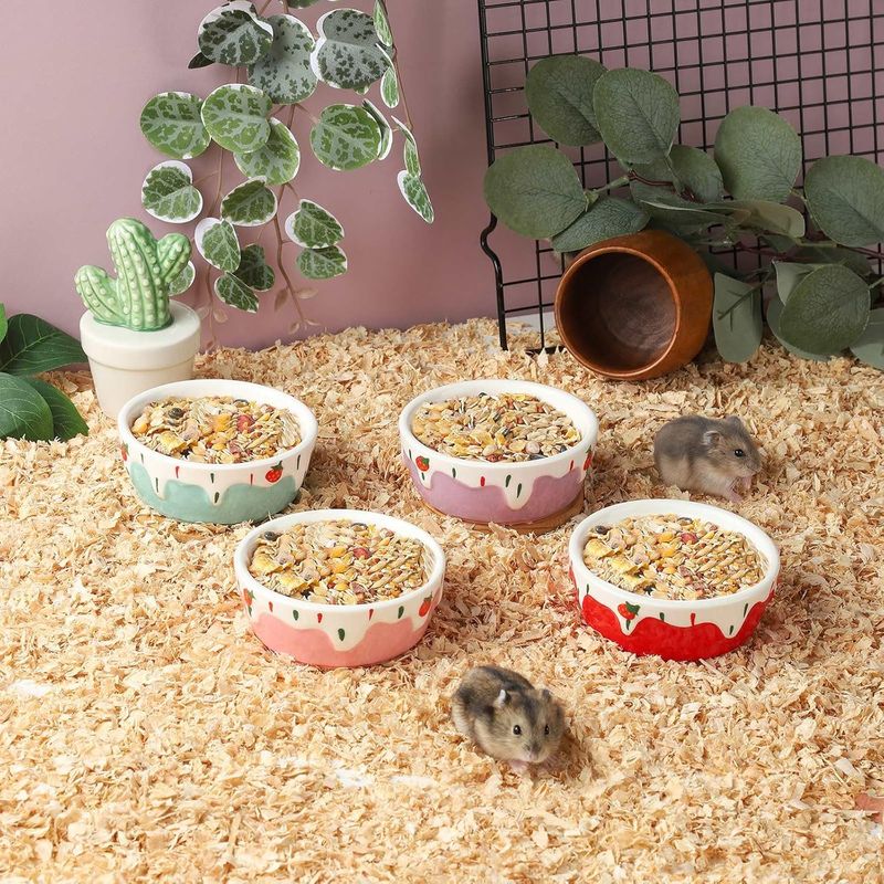 Gamelle pour hamster