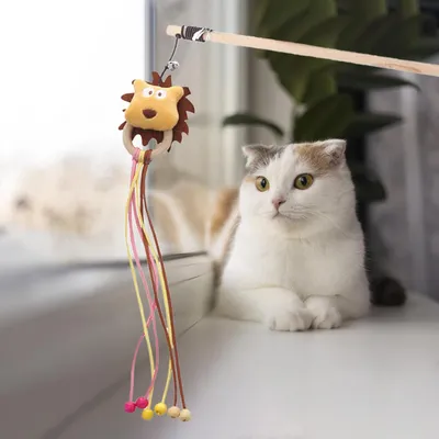 UAMLY Canne à peluche pour chat avec manche en bois