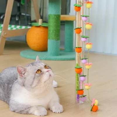 Reitlaze Jouet baguette pour chat avec clochette