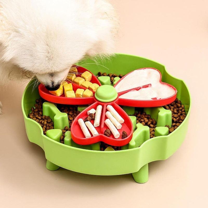 UAMLY Gamelle pour chien Slow Food