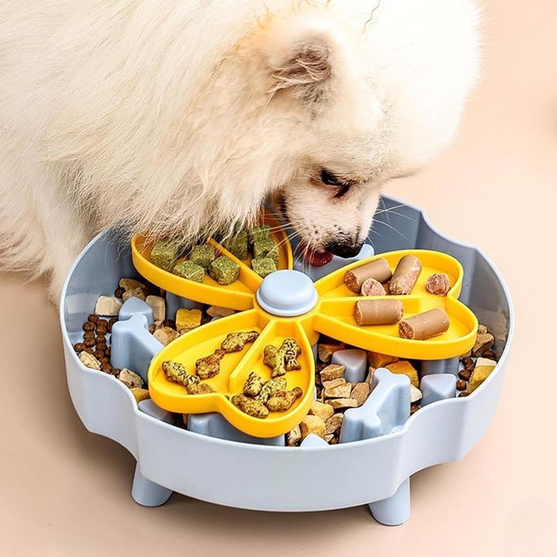 UAMLY Gamelle pour chien Slow Food