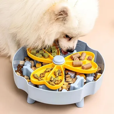 UAMLY Gamelle pour chien Slow Food