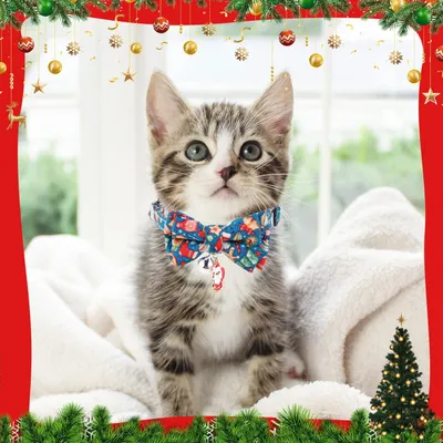 Colliers de Noël pour chats, avec cloches et nœud papillon