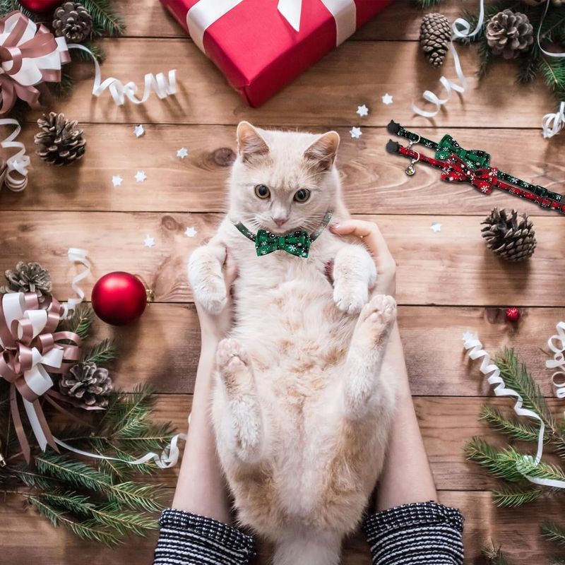 Collier pour chat réglable à dégagement rapide