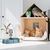 Distributeur de nourriture et d'eau pour chats