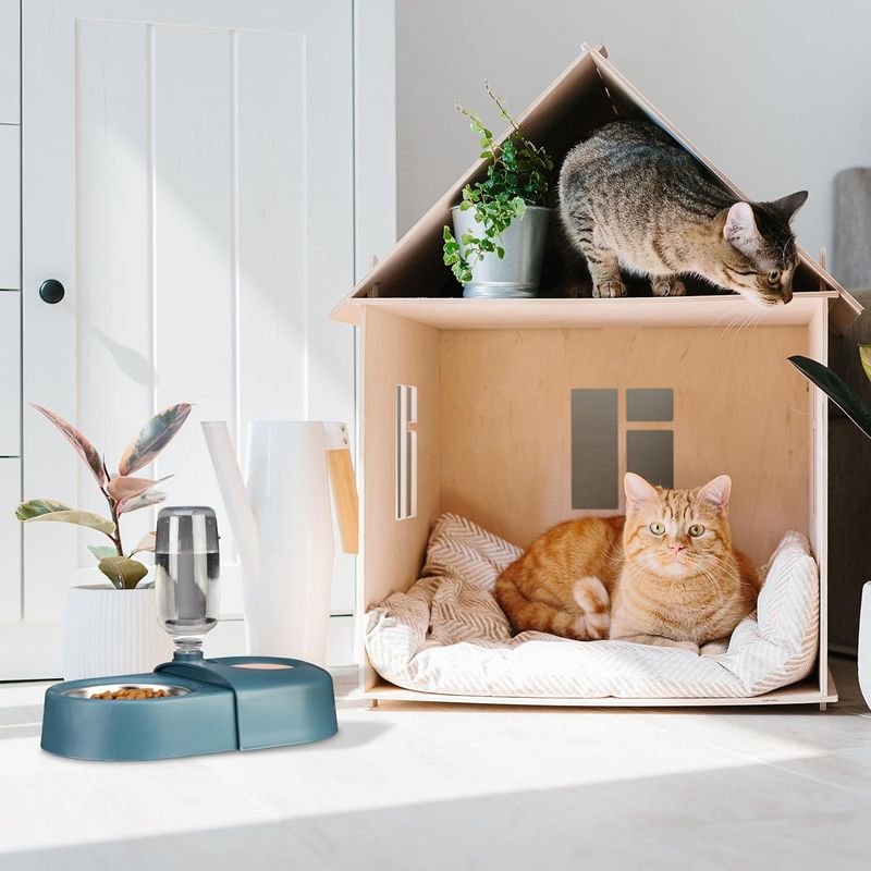 Distributeur de nourriture et d'eau pour chats