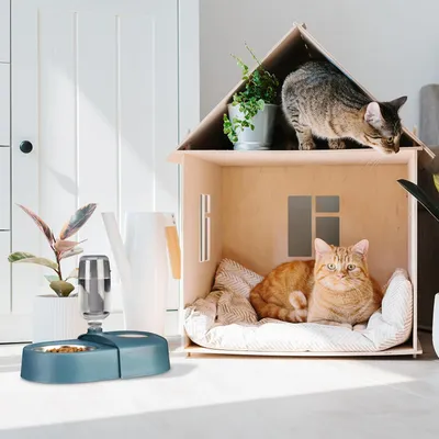 Distributeur de nourriture et d'eau pour chats Distributeur de nourriture et d'eau pour chats