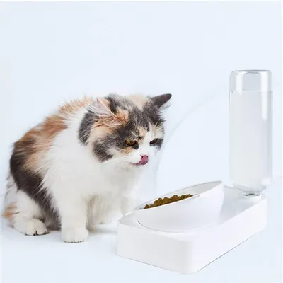 Mangeoire et abreuvoir pour chat avec distributeur d'eau automatique Mangeoire et abreuvoir pour chat avec distributeur d'eau automatique