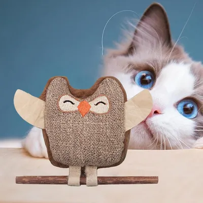 UAMLY Jouets de nettoyage des dents de chat