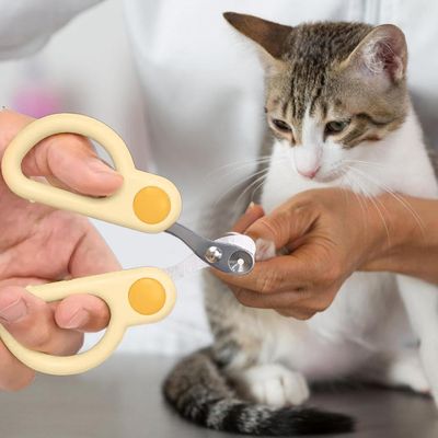 Coupe-griffes pour chat