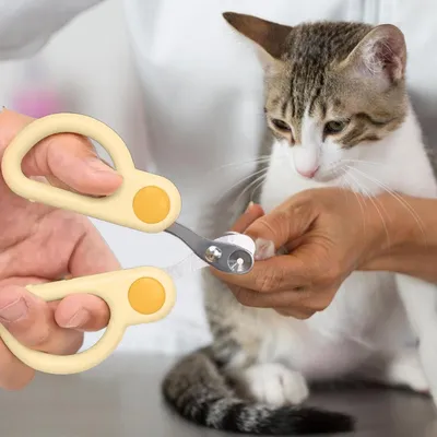 Coupe-griffes pour chat