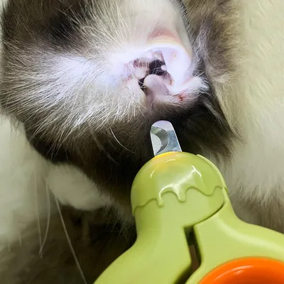 Coupe-griffes pour animaux de compagnie, lumière LED Coupe-griffes pour animaux de compagnie, lumière LED