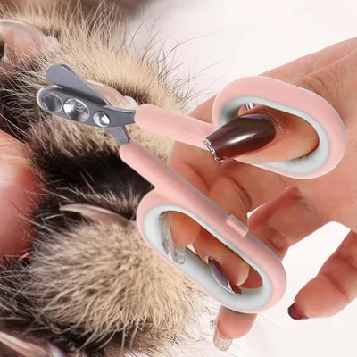 Coupe-griffes pour chat, ciseaux à trous